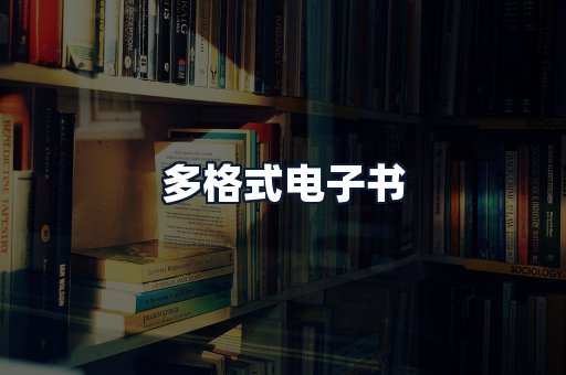 多格式电子书
